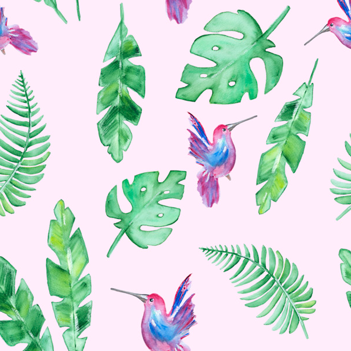 Libreta Colibrí