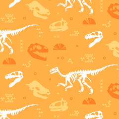 Libreta Dinosaurios